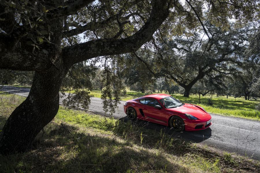  Porsche 718 Cayman T (982C) 2019 года  (WW) (фото 33 из 73)